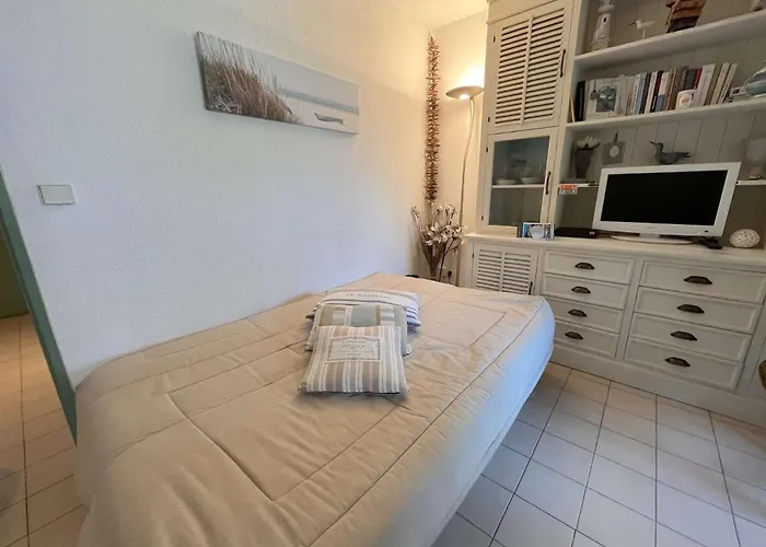 Sa020-a102 Appt 2 Pieces 4 Personnes Apartman Saint-Aygulf